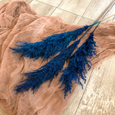 Blue Pampas