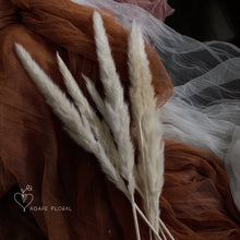 Load image into Gallery viewer, Small Cream Pampas Grass