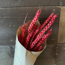 Load image into Gallery viewer, Red Wheat