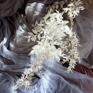 White Ruscus