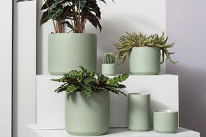 Kendall Pot Green