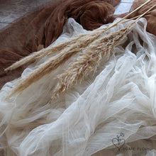 Load image into Gallery viewer, Medium/Small Cream Pampas Grass