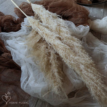 Load image into Gallery viewer, Large Cream Pampas Grass