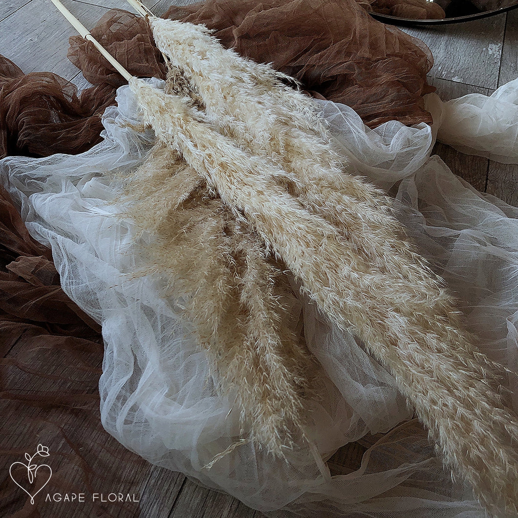 Large Cream Pampas Grass