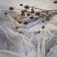 Load image into Gallery viewer, Eryngium Thistle Blue