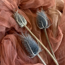 Load image into Gallery viewer, Cardo Pod Blue Stem