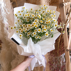 Chamomile Bouquet