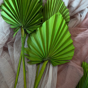 Small Green Palm Spear