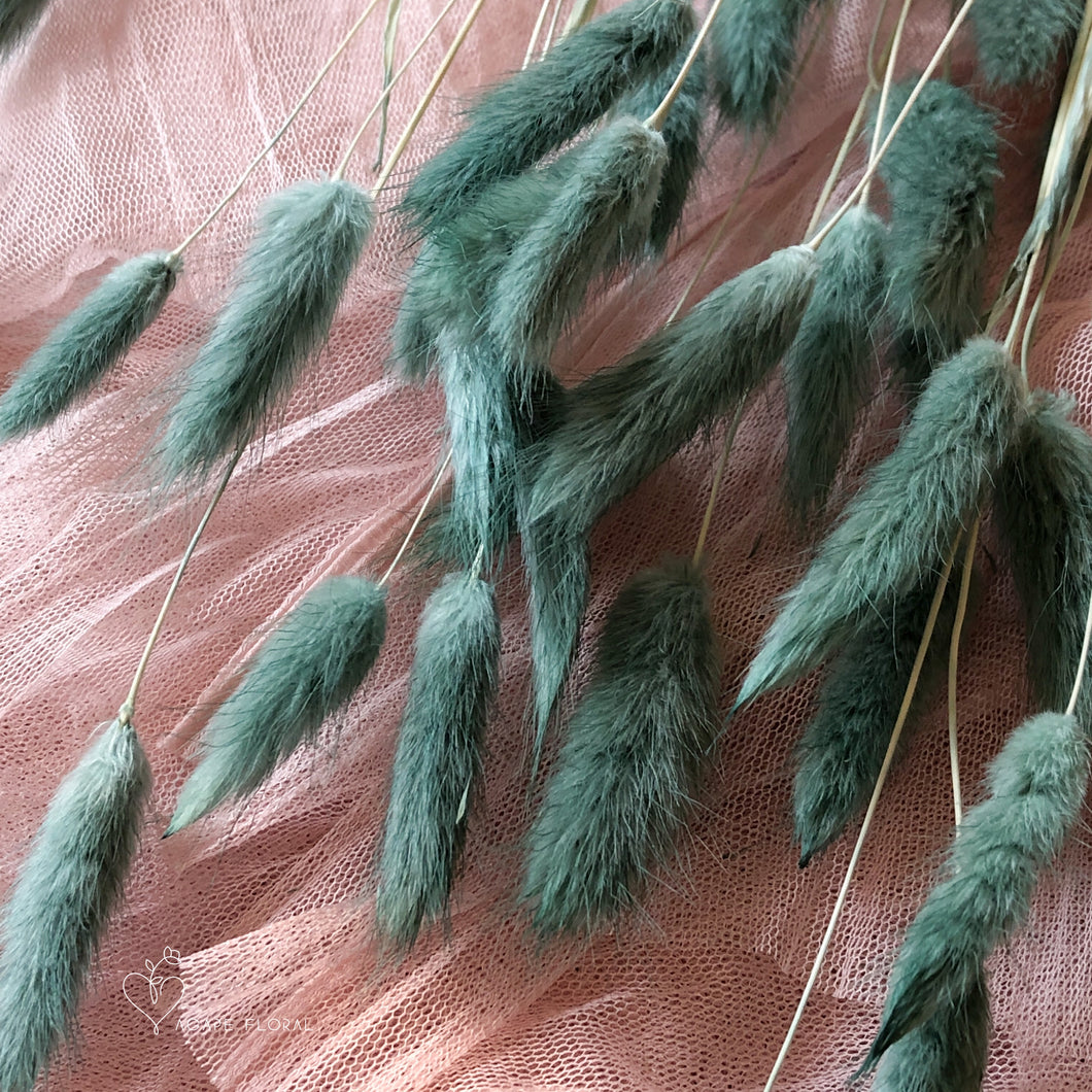 Pacific Blue Bunny Tails