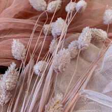 Load image into Gallery viewer, Lilac Phalaris