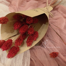 Load image into Gallery viewer, Red Phalaris