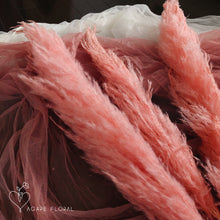 Load image into Gallery viewer, Large Pink Pampas Grass